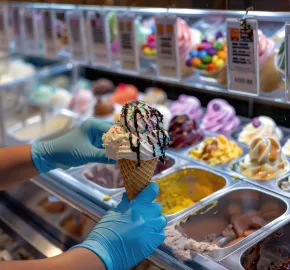 Ice Cream Parlours